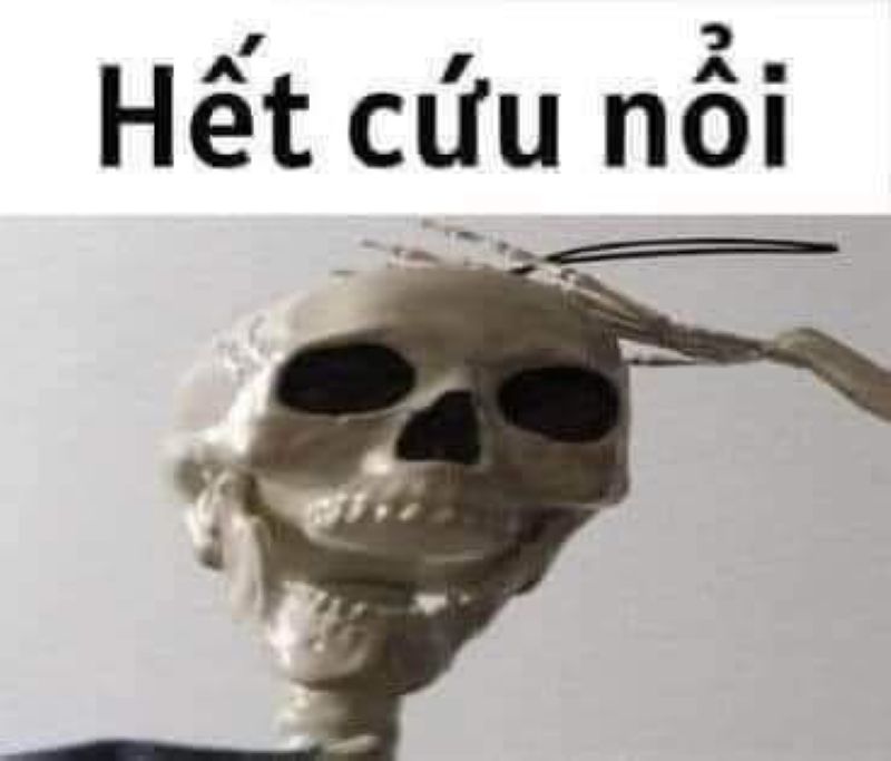 truong anh ngoc meme