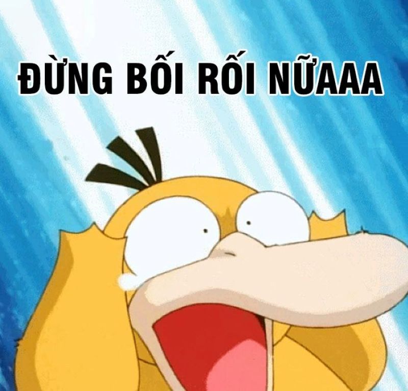 vịt vàng meme