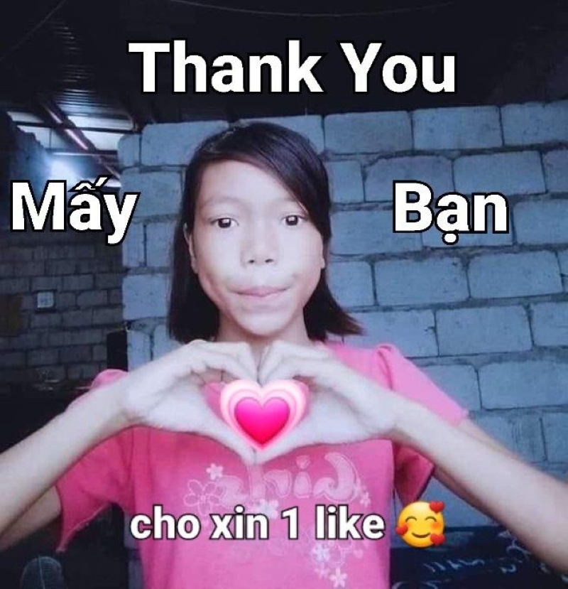 xin cảm ơn meme