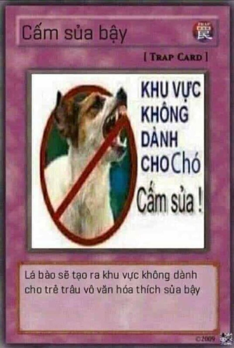 yugioh meme cards việt nam