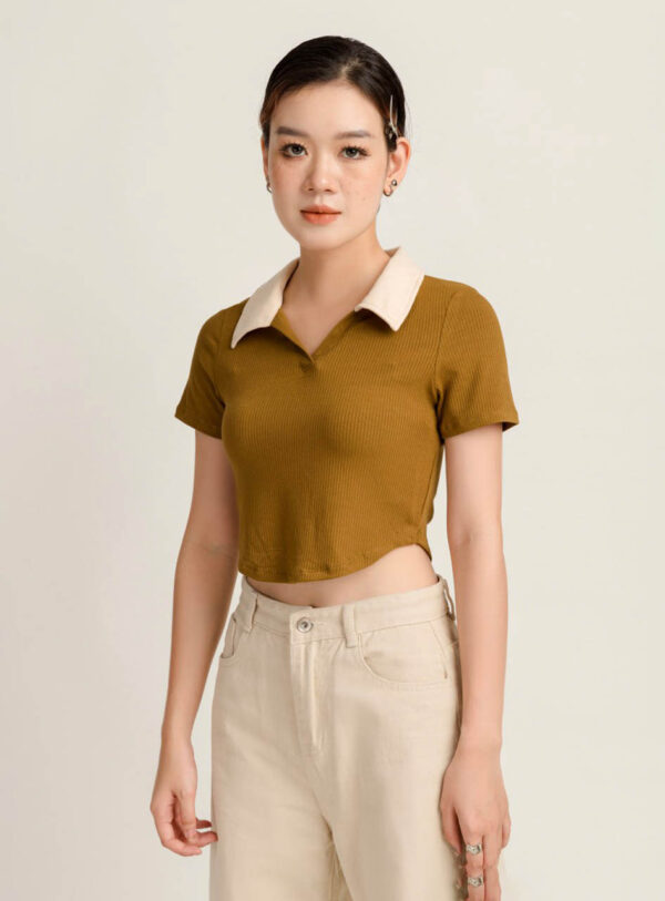 Áo Polo Croptop nữ Phối Màu Cổ Lai Bầu APLFM18