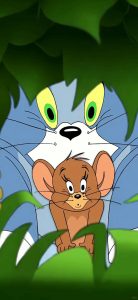 ảnh jerry cute
