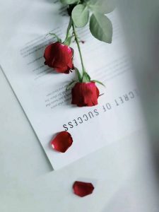 hình nền bông hồng