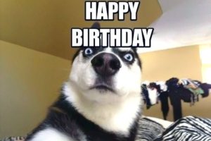 funny birthday meme