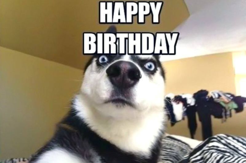 funny birthday meme