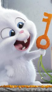 hình ảnh thỏ snowball đáng yêu