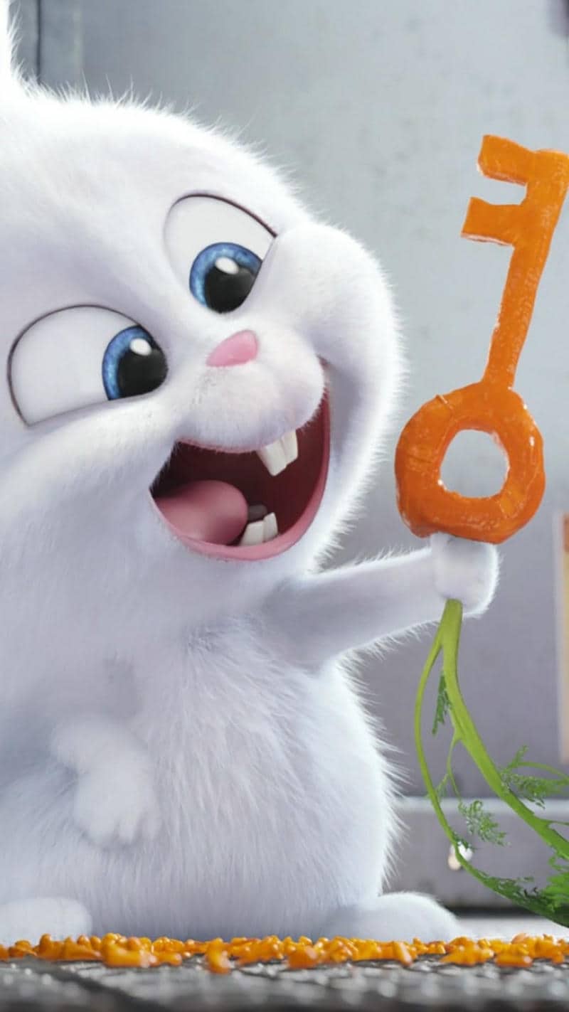 hình ảnh thỏ snowball đáng yêu