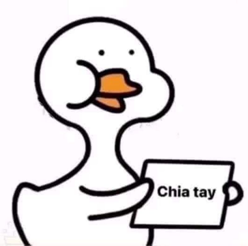 meme ảnh con vịt chế
