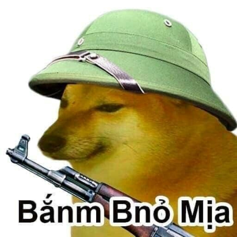 meme cheems