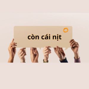 meme còn cái nịt hài hước