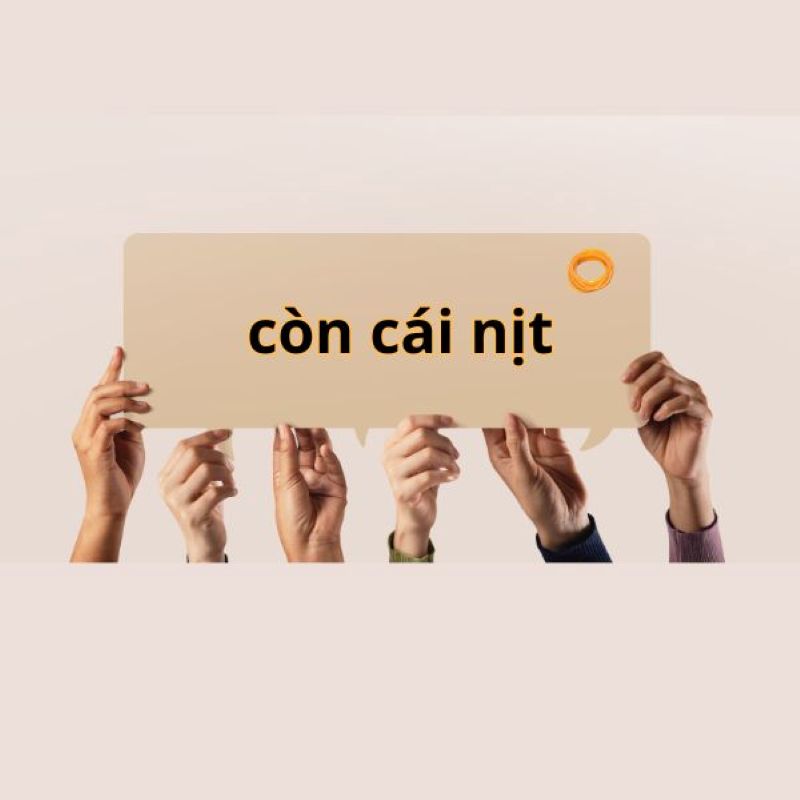 meme còn cái nịt hài hước