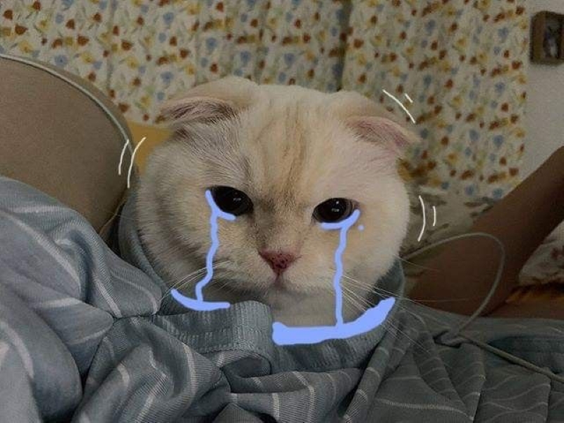 meme đừng buồn