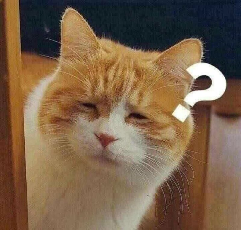 meme mặt hài