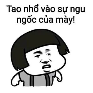 meme thông não