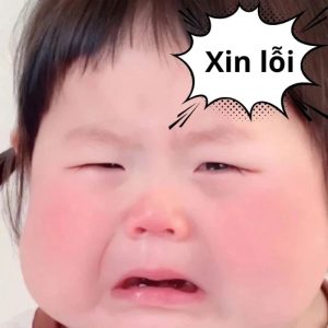 ảnh xin lỗi meme