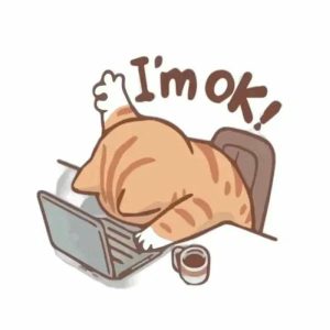 mèo ok