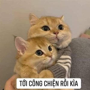 ôm cute